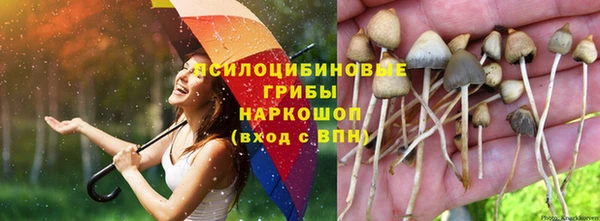 марки lsd Надым