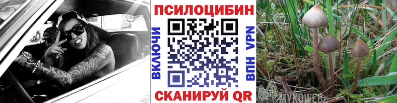 OMG ссылки  Чегем  Псилоцибиновые грибы Magic Shrooms 